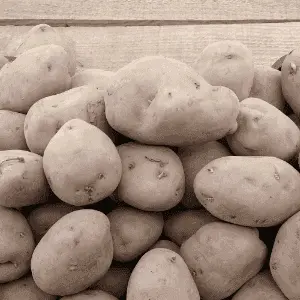 Pommes de terre - 1 kg