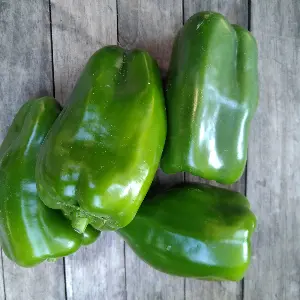 Poivrons les 0.5 kg