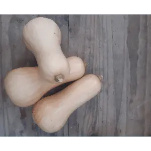 Butternut - entre 900 g et 1.1 kg