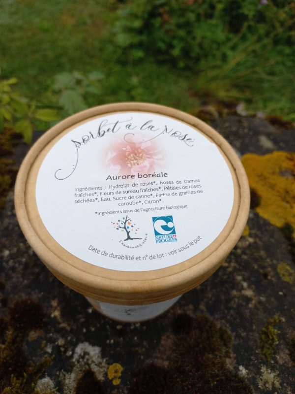 Sorbet à la Rose **Aurore Boréale** 480ml