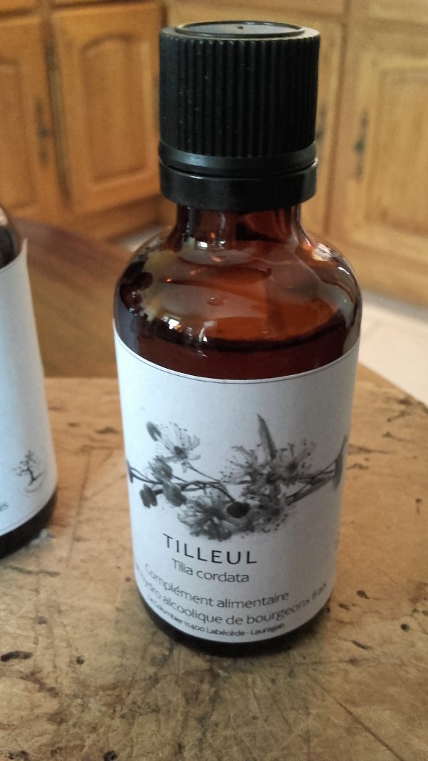 Extrait de bourgeons de Tilleul - Tilia cordata - 50 ml